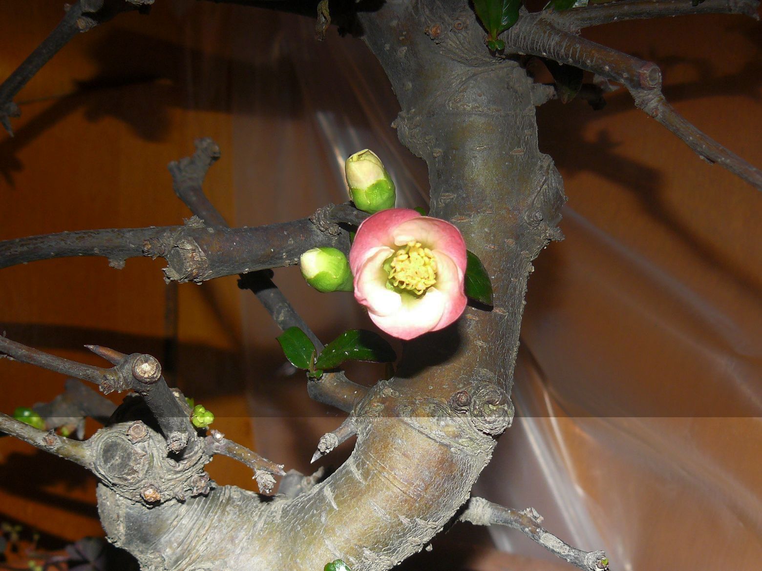 P1050300.JPG