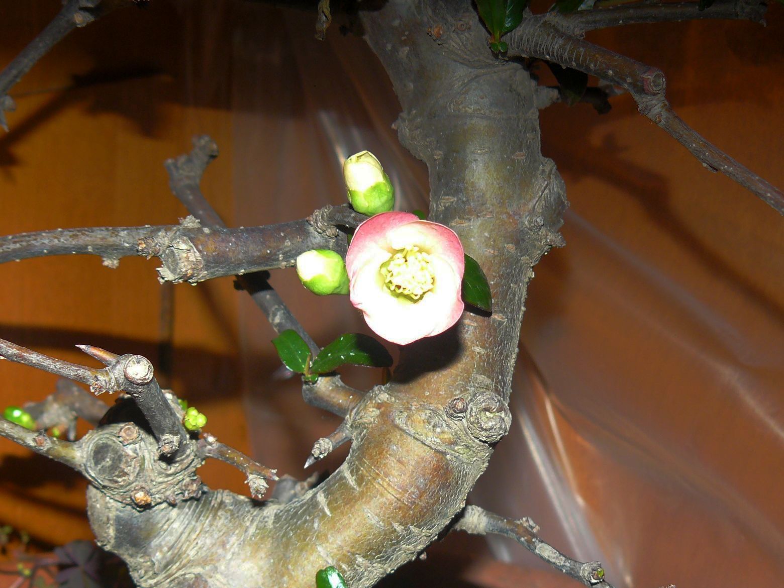 P1050298.JPG
