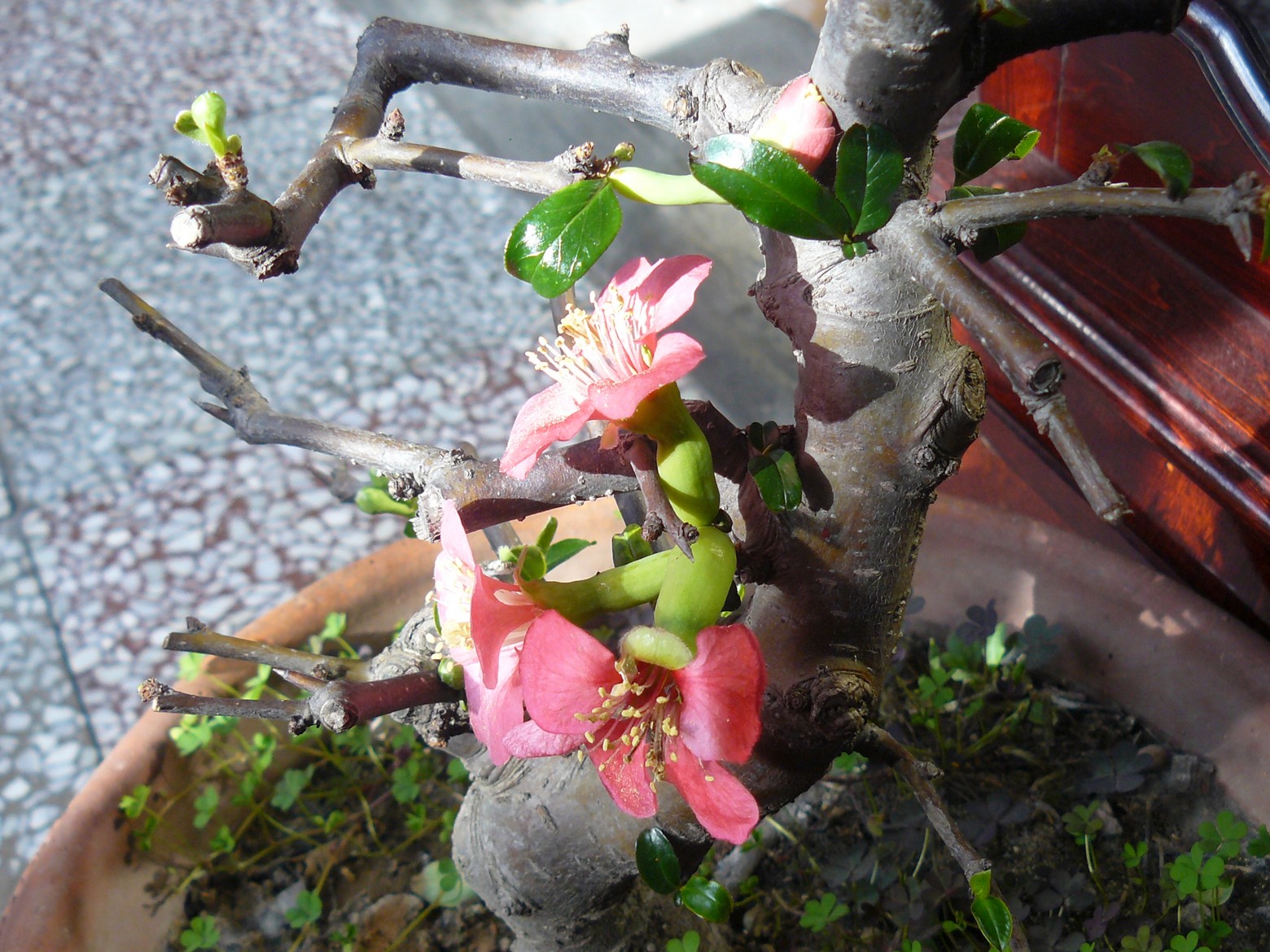 P1050504.JPG