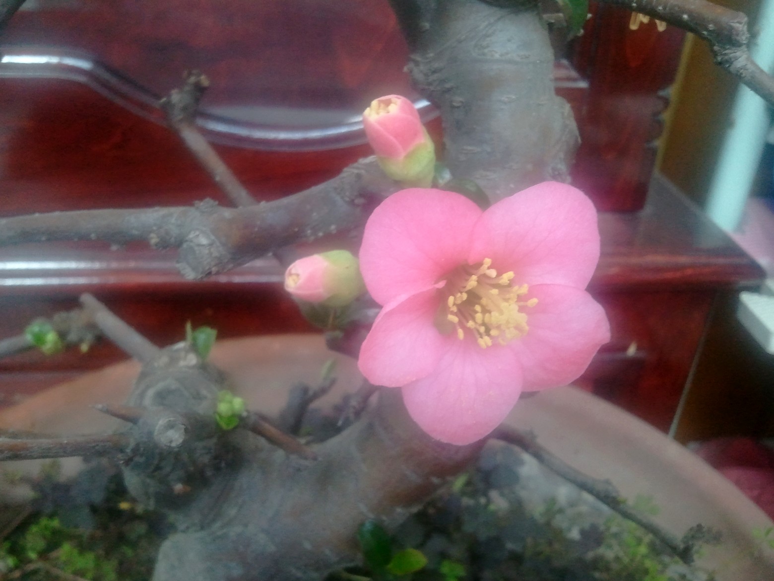 2012-11-19 12.33.44.jpg