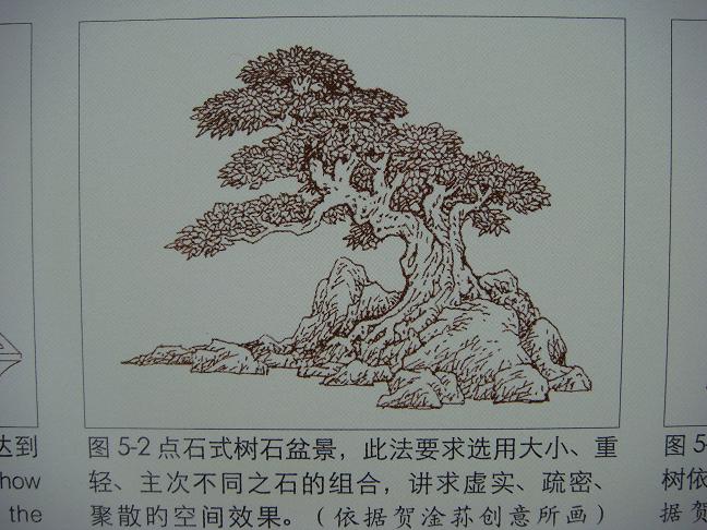 DSC03236.JPG