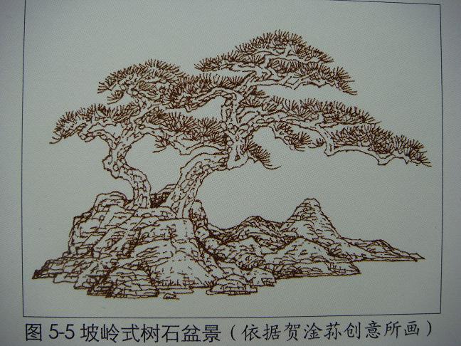 DSC03239.JPG
