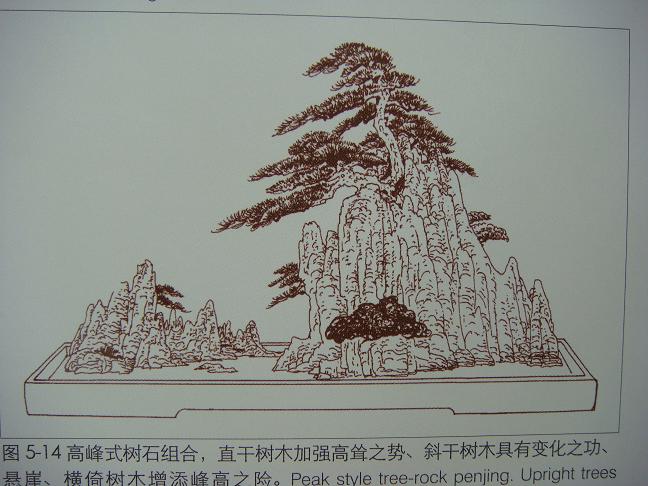 DSC03248.JPG