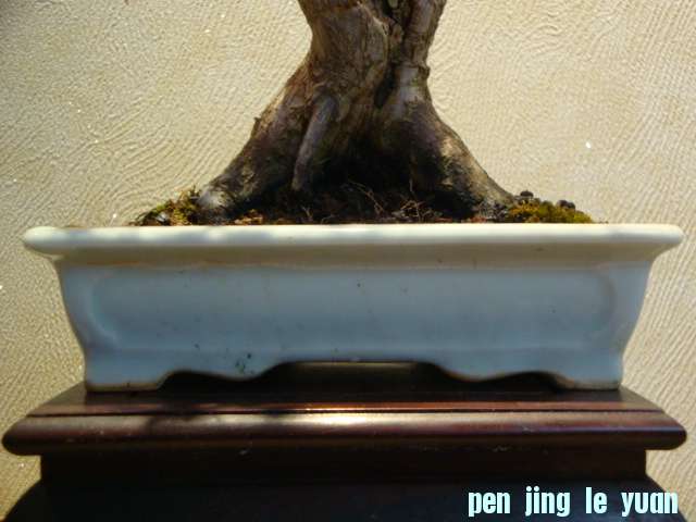 DSC01357.JPG