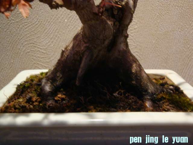 DSC01355.JPG