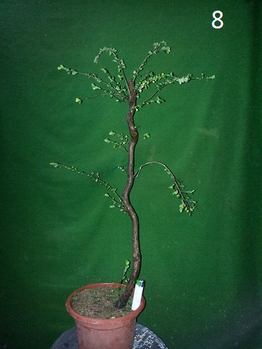 20121213_005106.jpg