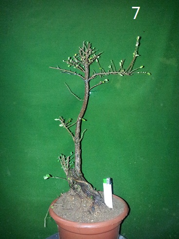 20121213_005248.jpg
