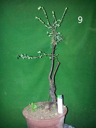 20121213_005315.jpg