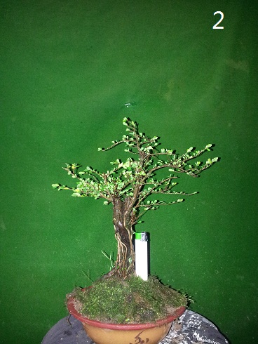 20121213_005437.jpg