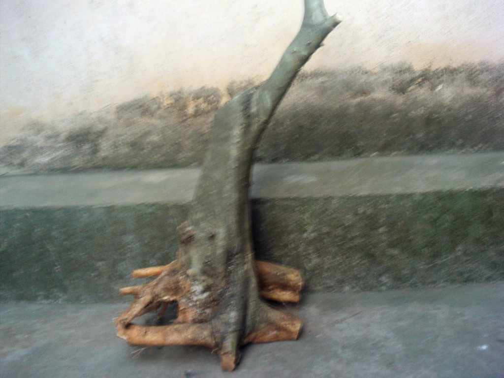 conew_file0034.jpg