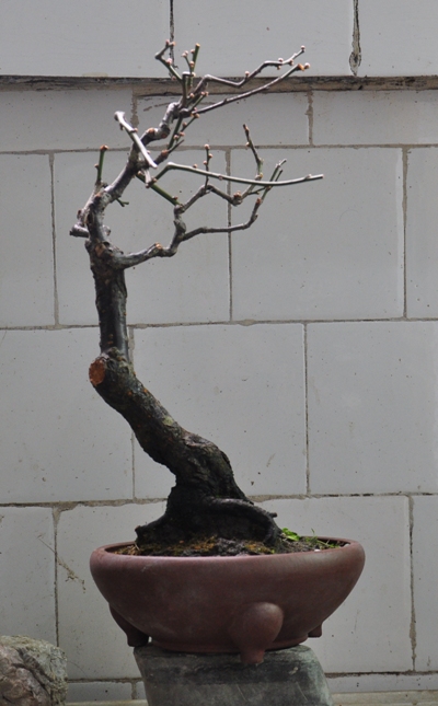 DSC_0068.JPG