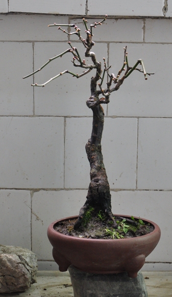 DSC_0065.JPG