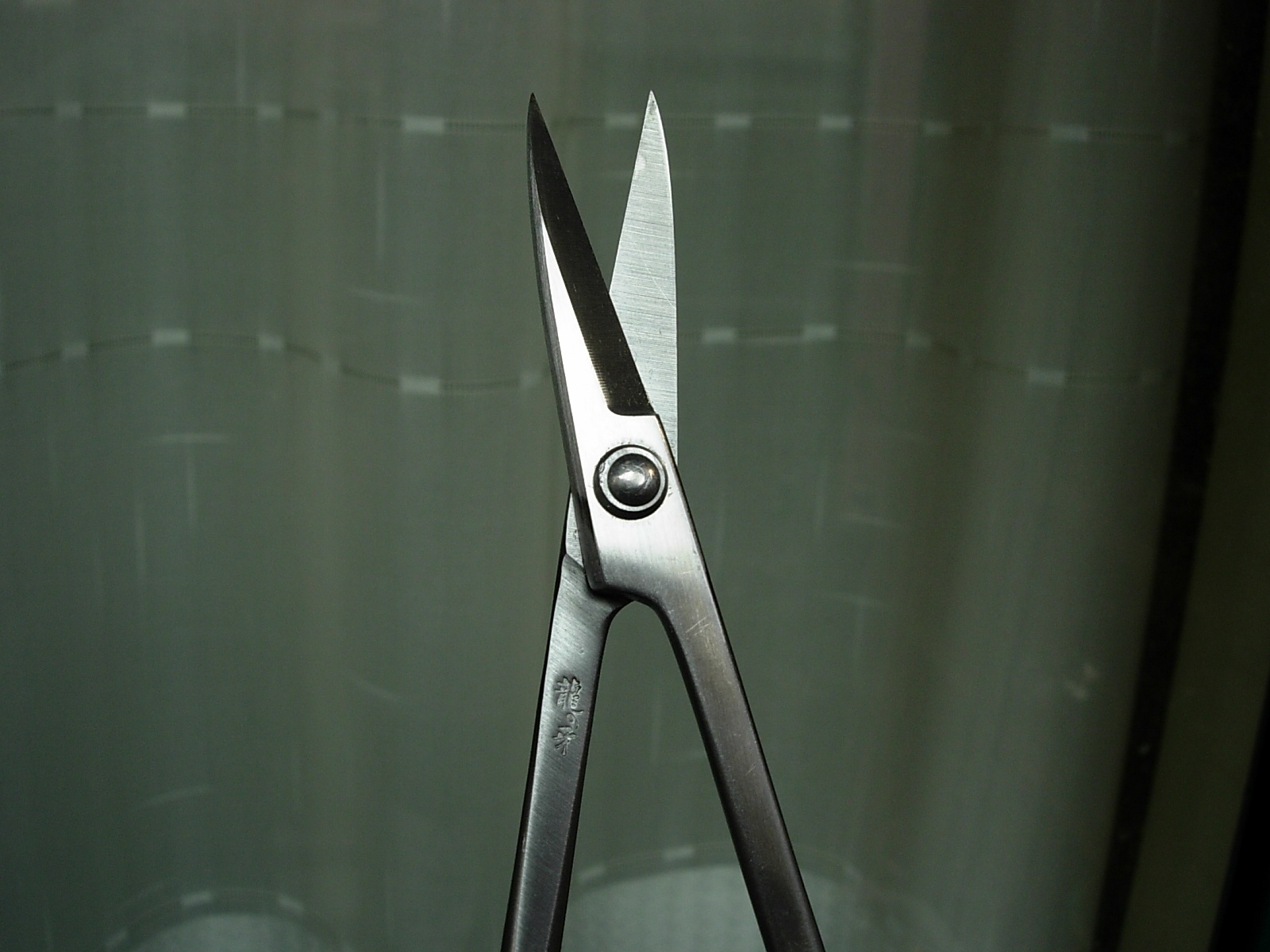 DSCN8713_conew1.jpg