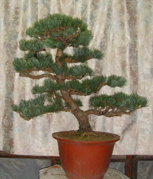 SNV39237.JPG