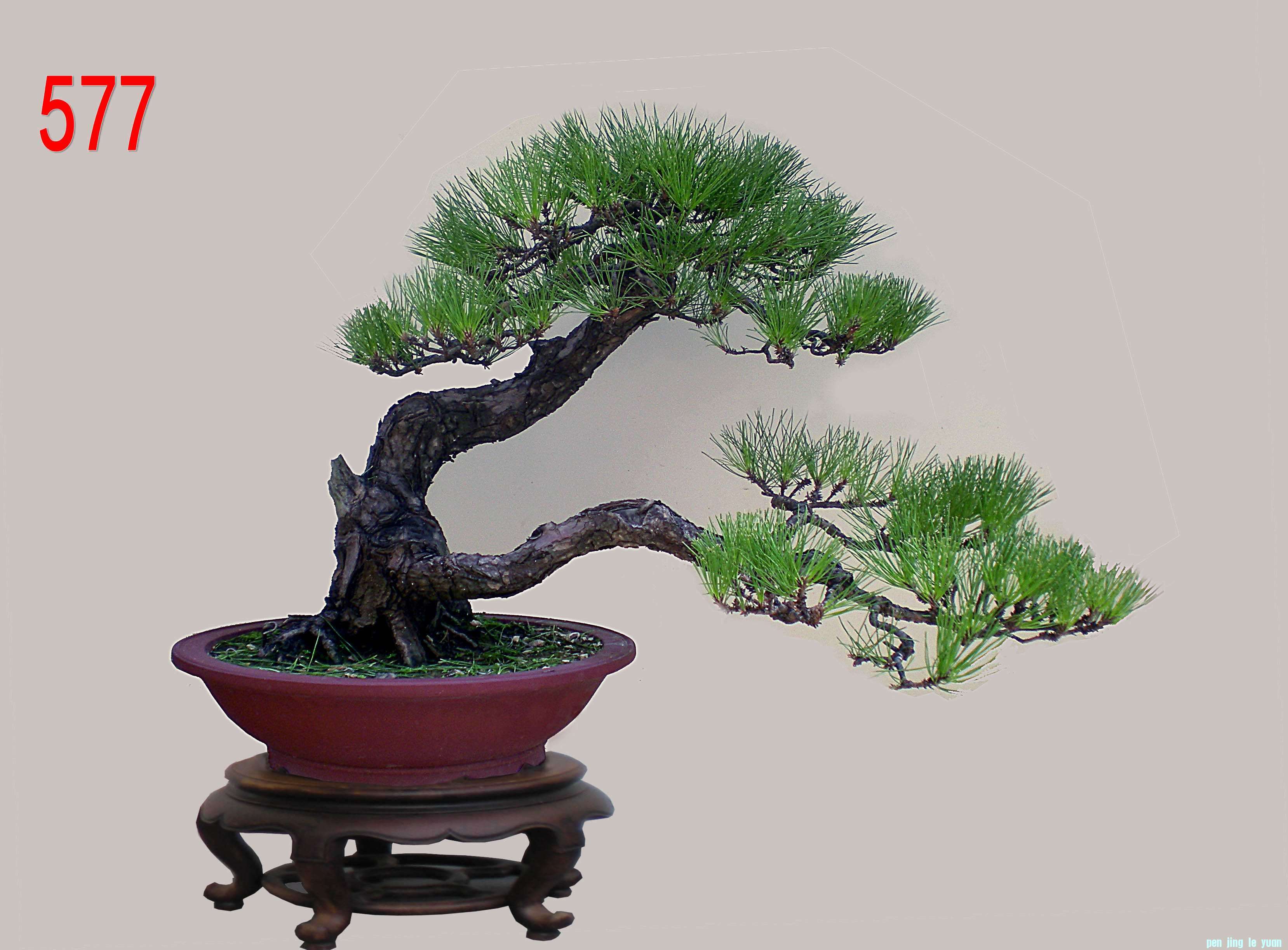硷     6575  .jpg
