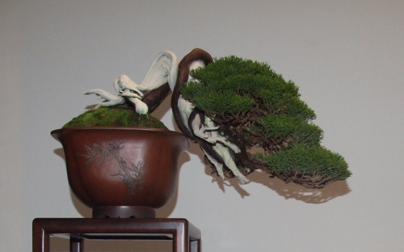 Noelanders Trophy XIII 2012 51b.jpg