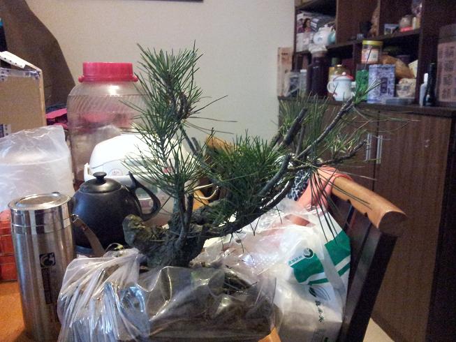 20121215_193851.jpg