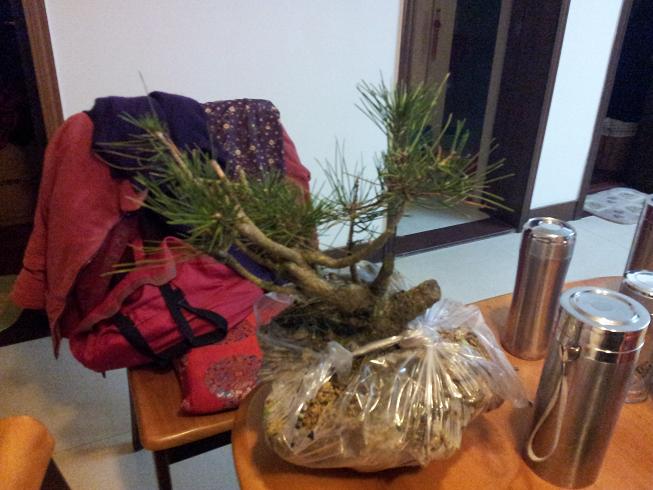 20121215_193918.jpg