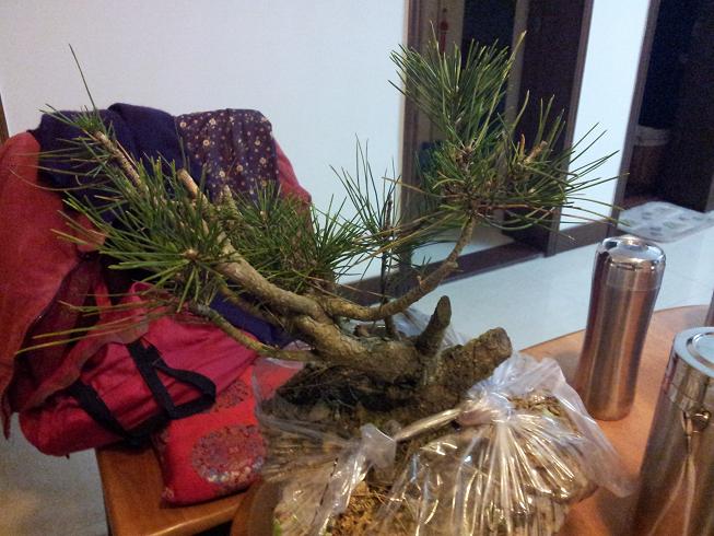 20121215_193934.jpg