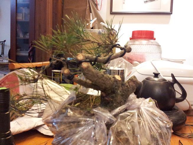 20121215_214622.jpg