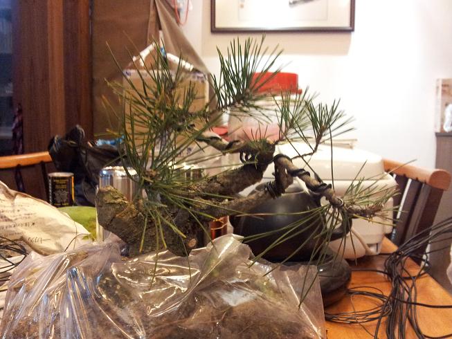 20121215_214654.jpg