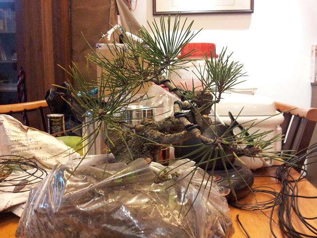20121215_214701.jpg