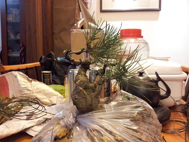 20121215_214708.jpg