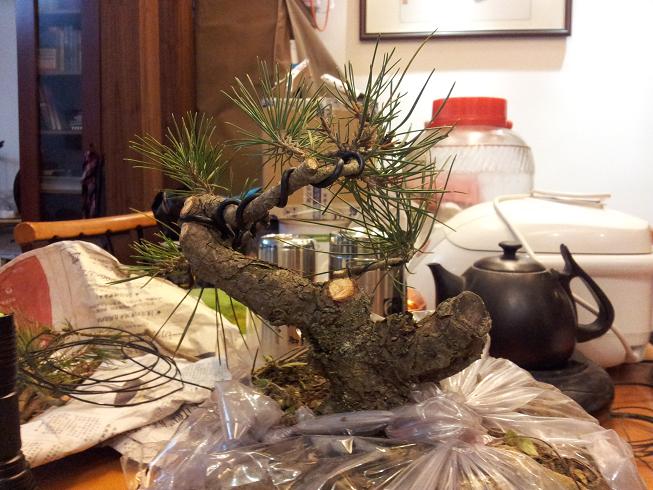 20121215_214714.jpg