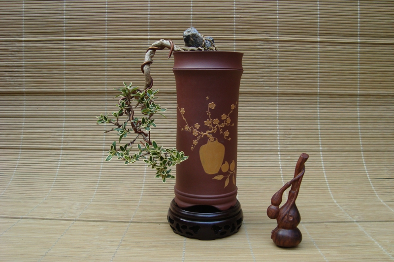 DSC08515.jpg