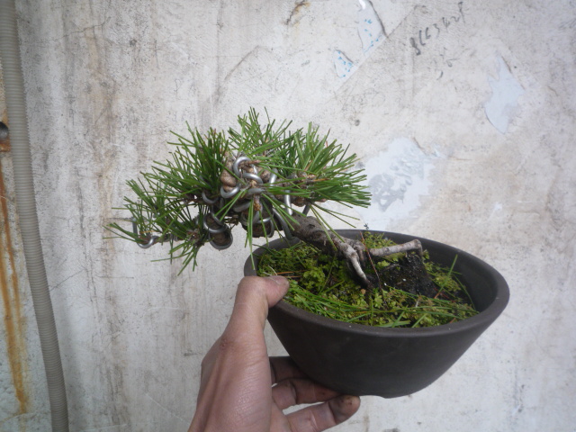 P1070074.JPG
