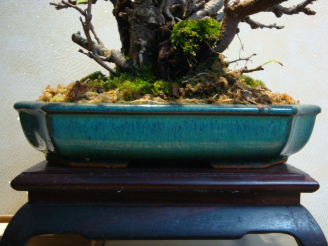 DSC01370.JPG