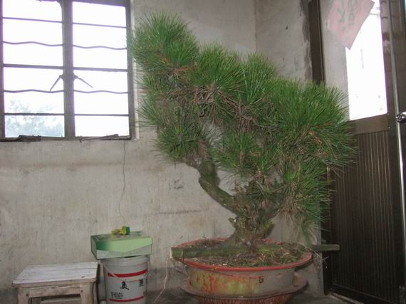 С DSCF7853.JPG