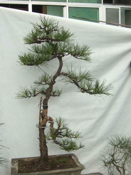 С DSCF7876.JPG
