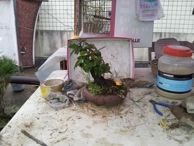 20121124_124258.jpg