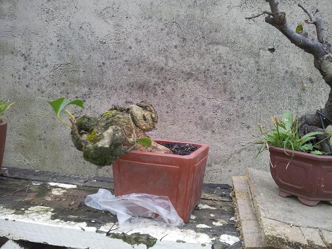 20121216_110351.jpg
