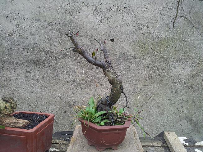 20121216_110355.jpg