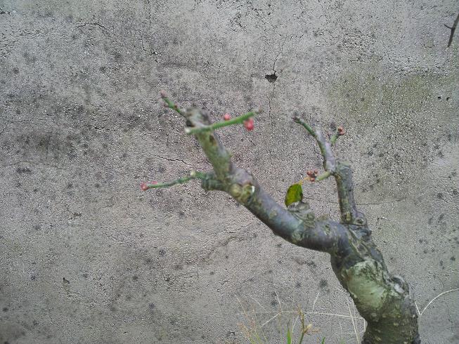 20121216_110359.jpg