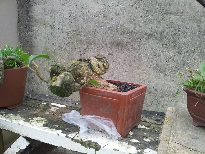 20121216_110407.jpg