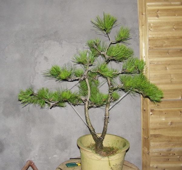100_2137.jpg