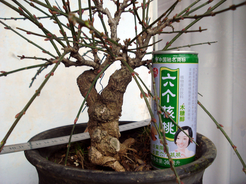 DSC04002_.jpg