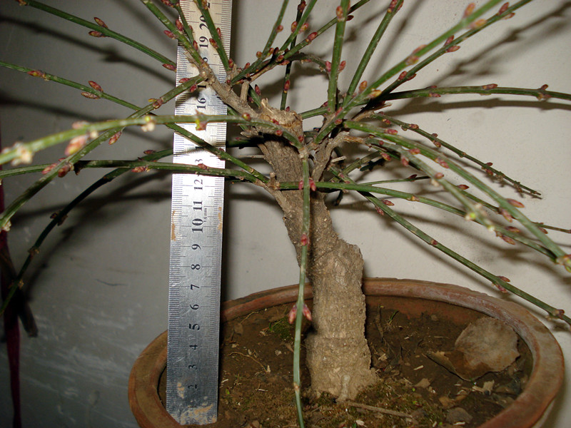 DSC04005_.jpg