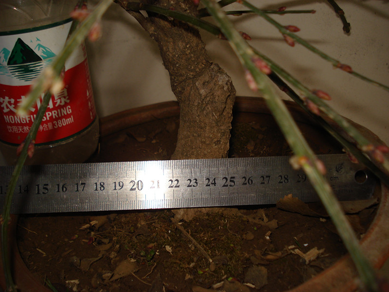 DSC04010_.jpg