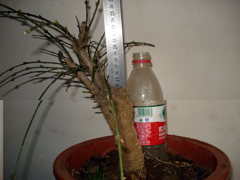 DSC04011_.jpg