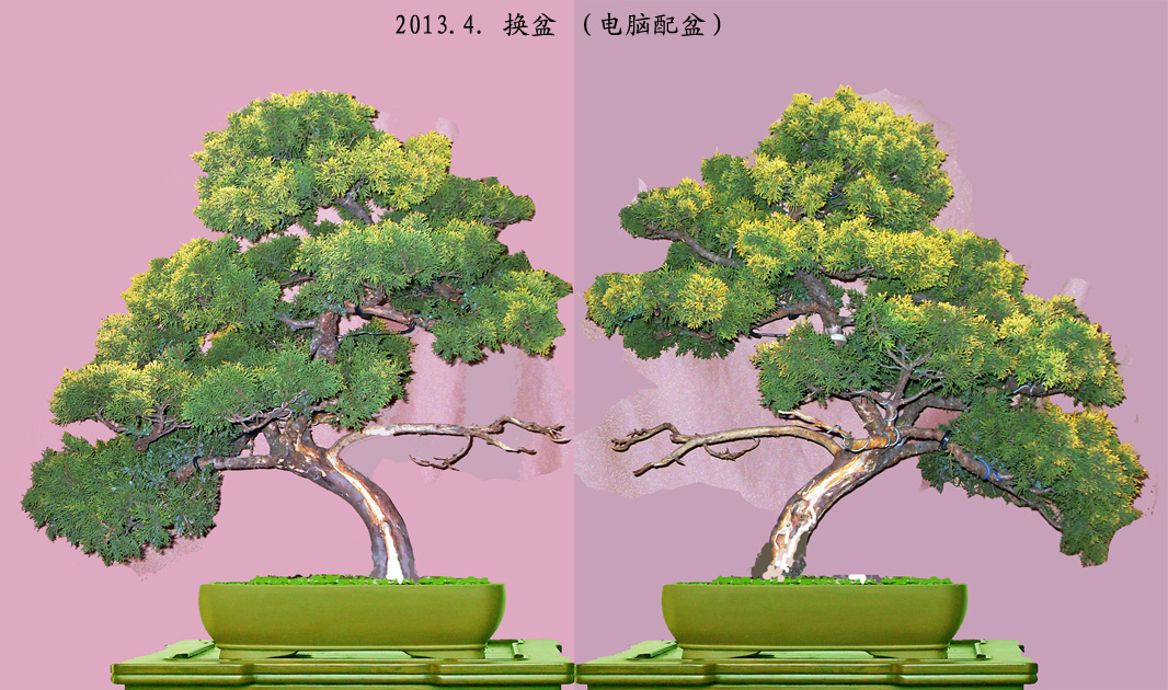 d.jpg