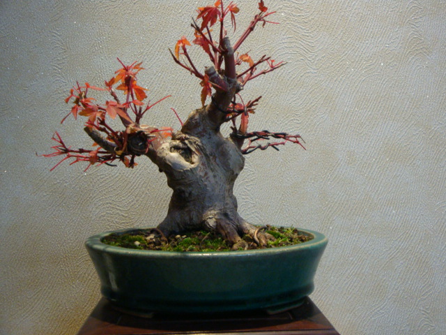 DSC01358.JPG