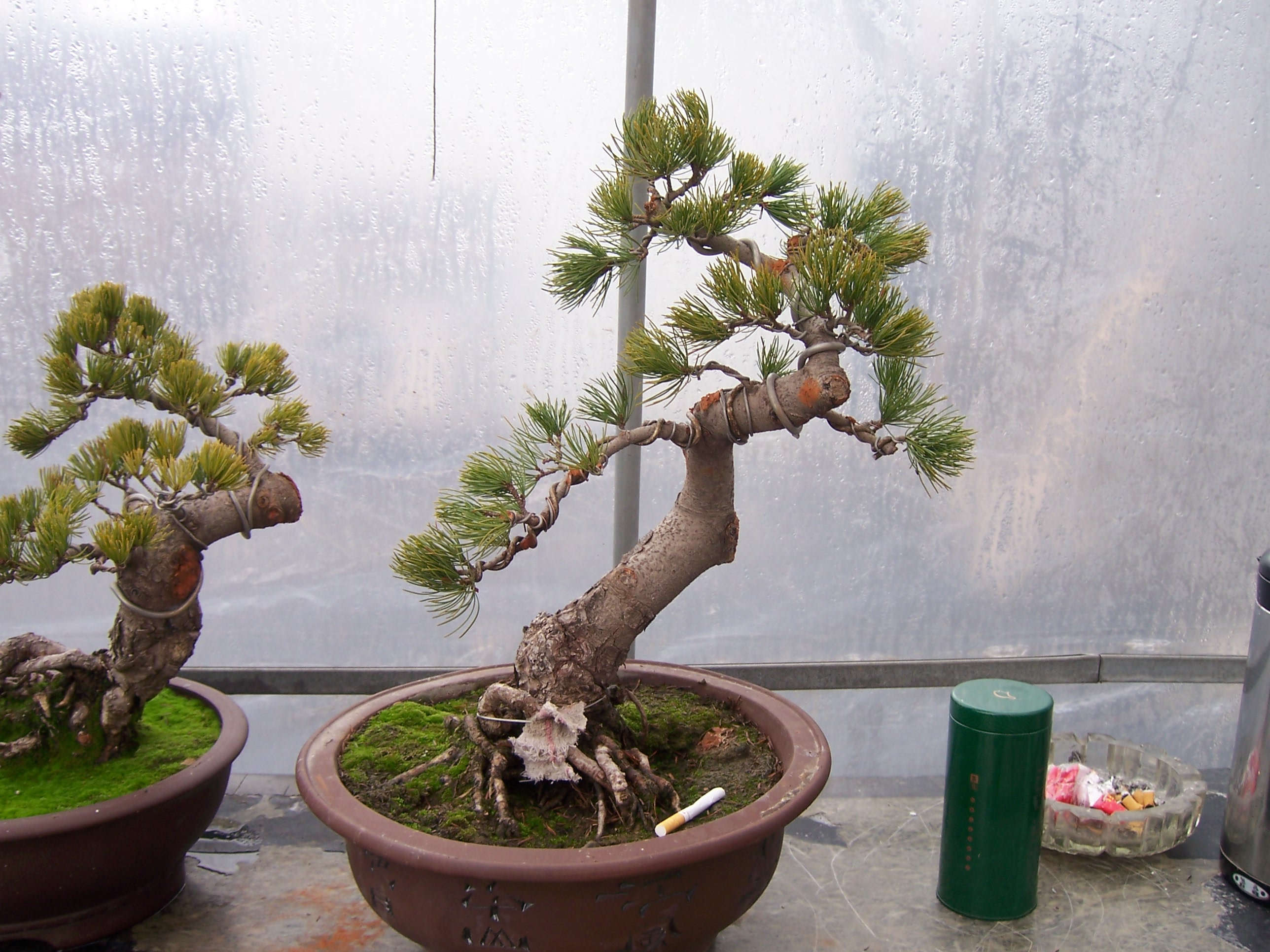 100_2256.JPG