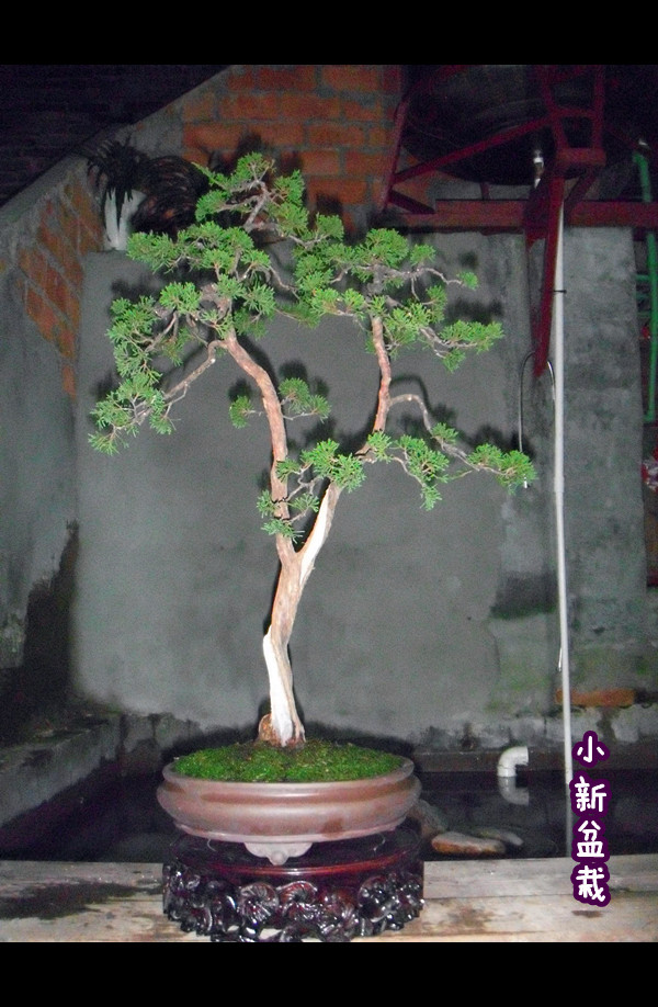 DSCF3127_.jpg