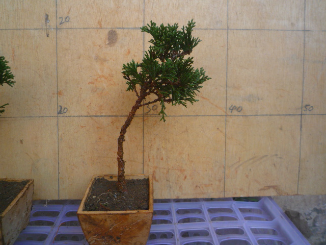 P1070120.JPG