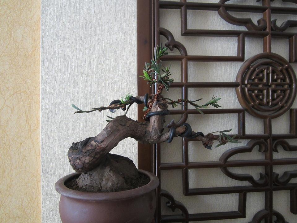 ޺2.jpg
