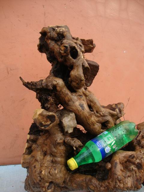 DSC08537.JPG